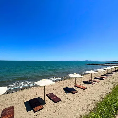 мидия на първа линия - Midia First Line * Acheloj