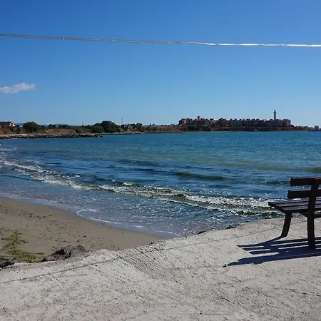 мидия на първа линия - Midia First Line Acheloj